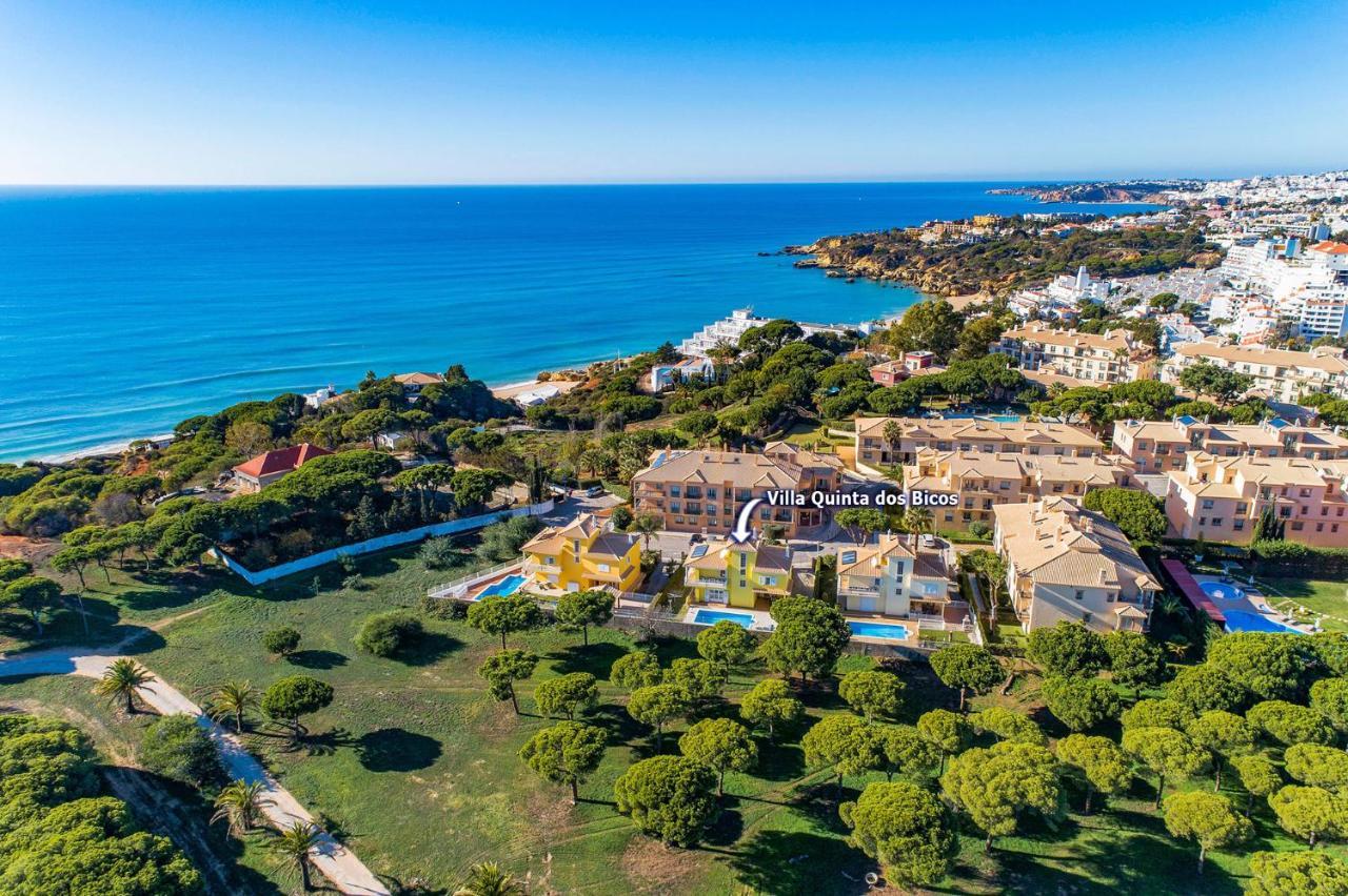 Villa Quinta Dos Bicos By Villa Plus Албуфейра Екстериор снимка