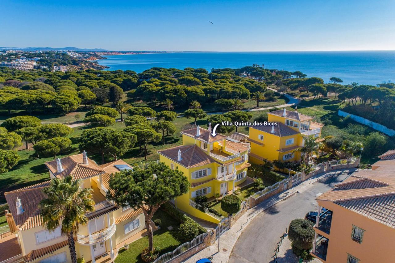 Villa Quinta Dos Bicos By Villa Plus Албуфейра Екстериор снимка